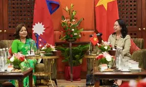 وزیر خارجہ کی ویتنام کی نائب صدر سے ملاقات