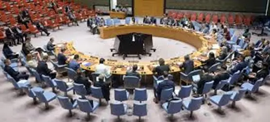 بین الاقوامی تنظیم اقوام متحدہ