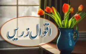 فقیہ ملت کے اقوال ذریں