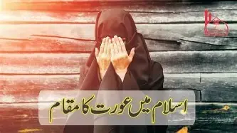 کیا سچ   میں عورتیں  کھیتی ہیں؟:از قلم : محمد ثاقب رضا علیمی ماتریدی...