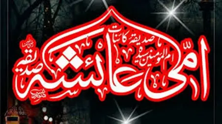 ام المؤمنین حضرت سیدہ عائشہ صدیقہ رضی اللہ تعالیٰ عنہا: