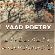 میری زندگی کی یادیں